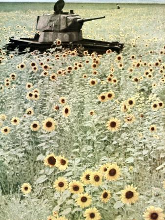 Photographic Print, , small