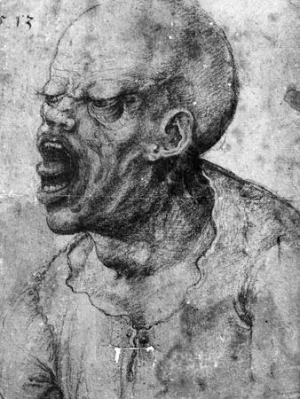 Photographic Print, , small