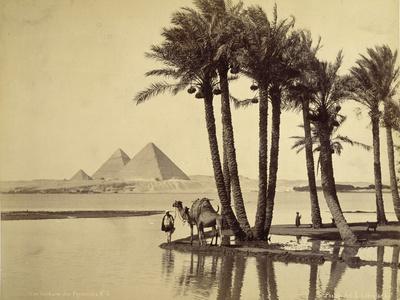 Photographic Print, , small