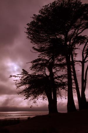 Premium Photographic Print, , small