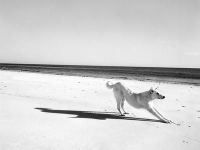 Photographic Print, , small