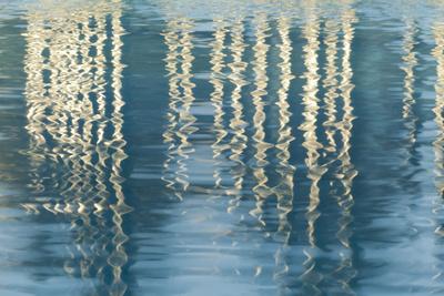 Premium Photographic Print, , small