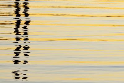 Photographic Print, , small