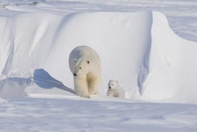 Photographic Print, , small