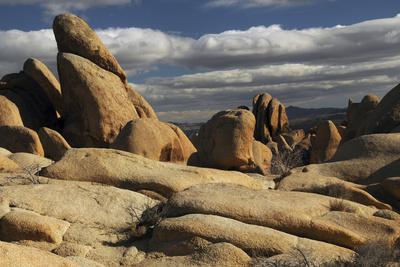 Photographic Print, , small