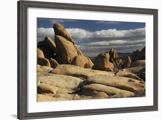 Arch Rock Trail, Joshua Tree National Park, California, USA-Michel Hersen-Framed Photographic Print