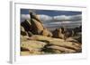 Arch Rock Trail, Joshua Tree National Park, California, USA-Michel Hersen-Framed Photographic Print