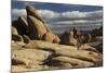 Arch Rock Trail, Joshua Tree National Park, California, USA-Michel Hersen-Mounted Photographic Print