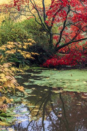 Premium Photographic Print, , small