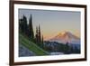 Man on Trail, Mt Adams Back, Goat Rocks Wilderness, Washington, USA-Gary Luhm-Framed Photographic Print