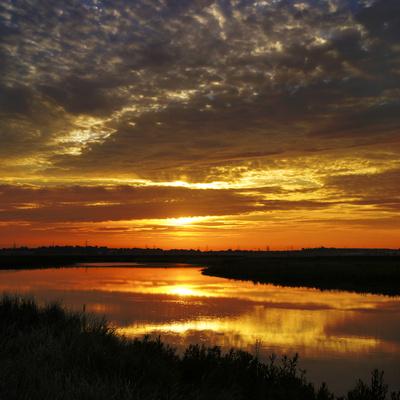 Photographic Print, , small