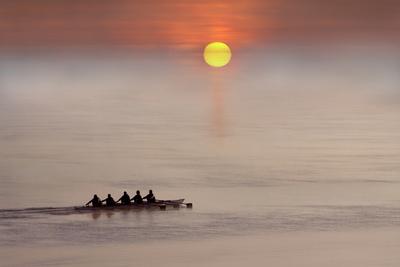 Photographic Print, , small