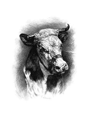 Premium Giclee Print, , small