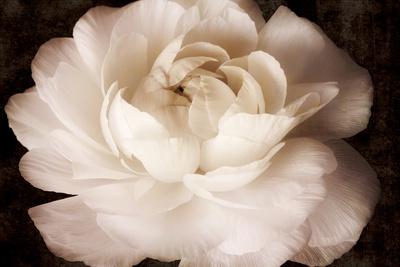Premium Giclee Print, , small