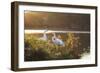 A Great Egret and Snow Goose Rest by the Lake in Ibirapuera Park at Sunset-Alex Saberi-Framed Photographic Print