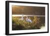 A Great Egret and Snow Goose Rest by the Lake in Ibirapuera Park at Sunset-Alex Saberi-Framed Photographic Print