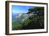 Cazorla National Park, Sierra Del Pozo, Andalucia, Spain-Duncan Maxwell-Framed Photographic Print