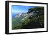 Cazorla National Park, Sierra Del Pozo, Andalucia, Spain-Duncan Maxwell-Framed Photographic Print