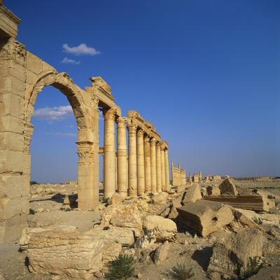 Photographic Print, , small