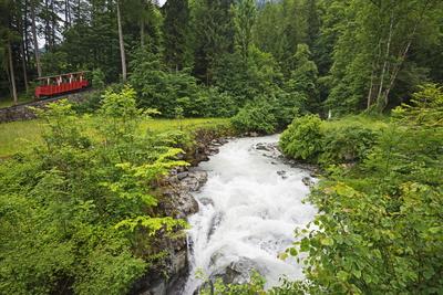 Photographic Print, , small