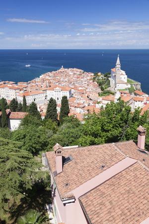 Photographic Print, , small