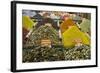 Tea and Spices for Sale in Spice Bazaar, Istanbul, Turkey, Western Asia-Martin Child-Framed Photographic Print