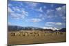 Castelrigg Megalithic Stone Circle in Winter with Helvellyn Range Behind-Peter Barritt-Mounted Photographic Print