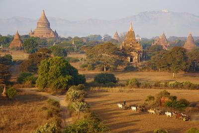 Photographic Print, , small