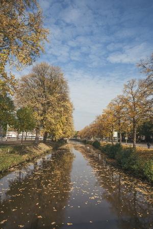 Photographic Print, , small