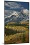 Mears Peak with Snow and Yellow Aspens in the Fall-James Hager-Mounted Photographic Print