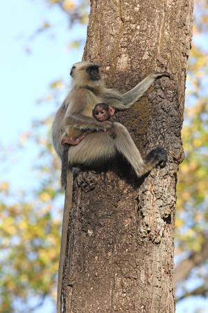 Photographic Print, , small