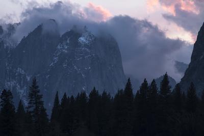 Photographic Print, , small