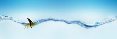 Photographic Print, , small