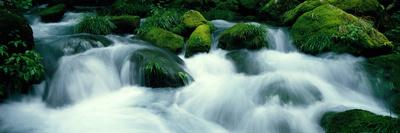 Photographic Print, , small