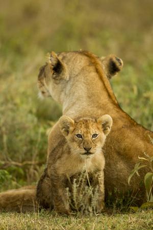 Premium Photographic Print, , small