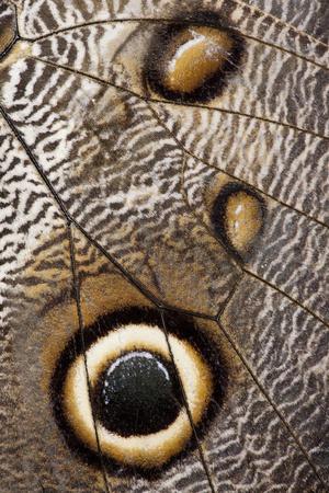 Premium Photographic Print, , small