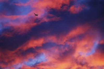 Premium Photographic Print, , small