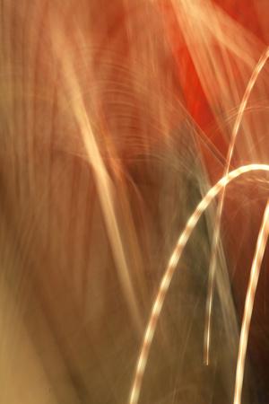 Premium Photographic Print, , small