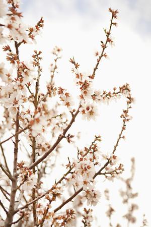 Premium Photographic Print, , small