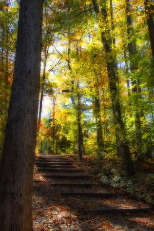 Premium Photographic Print, , small