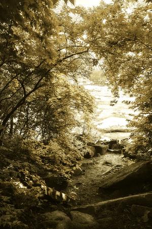 Premium Photographic Print, , small
