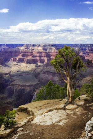 Premium Photographic Print, , small