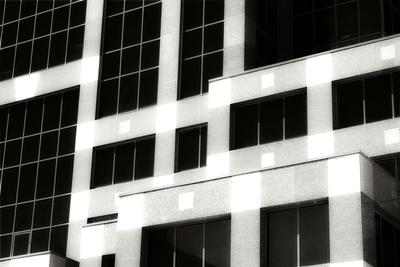 Premium Photographic Print, , small