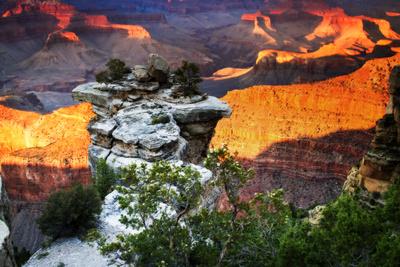 Premium Photographic Print, , small