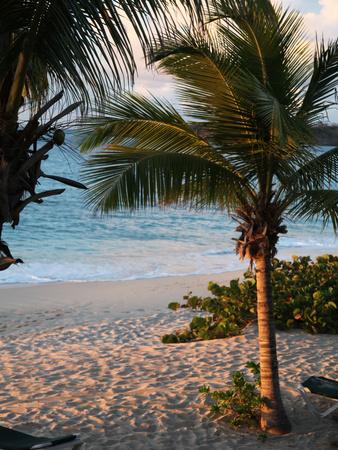Premium Photographic Print, , small