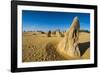 The Pinnacles Limestone Formations at Sunset Contained-Michael Runkel-Framed Photographic Print