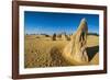 The Pinnacles Limestone Formations at Sunset Contained-Michael Runkel-Framed Photographic Print