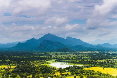 Photographic Print, , small