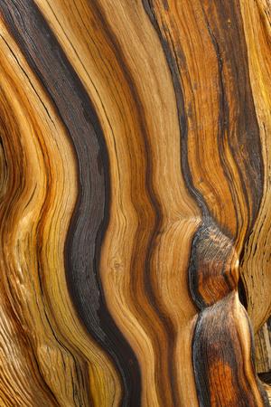 Photographic Print, , small