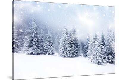 Stretched Canvas Print, , small